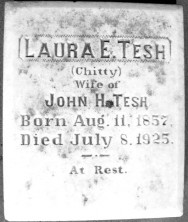 Laura E. Tesh