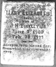 Mary Elizabeth Binkley