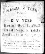 Sarah Jane Tesh