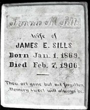Fannie Montgomery Sills