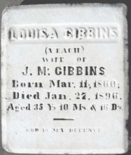 Louisa  Gibbins