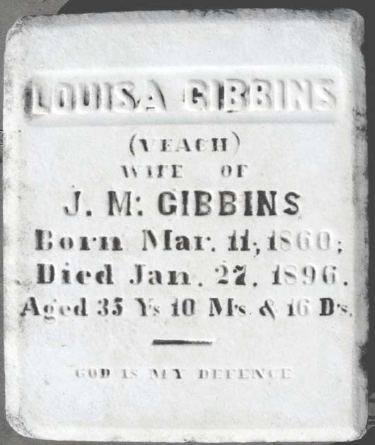 Louisa Gibbins
