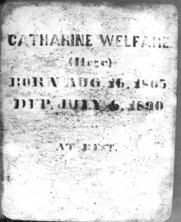 Catharine  Welfare