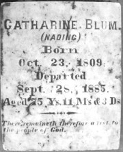 Catharine M. Blum