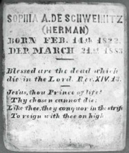 Sophia Amelia de Schweinitz