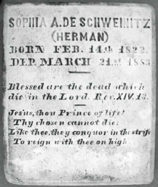 Sophia Amelia de Schweinitz