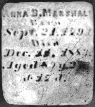 Anna Barbara Marshall