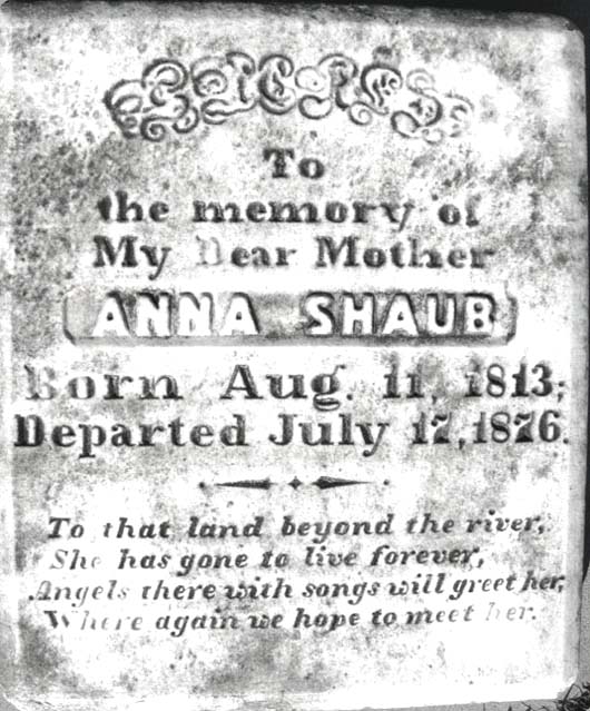 Anna Shaub