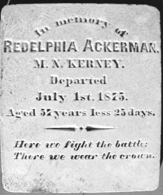 Redelphia  Ackerman