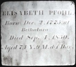 Elisabeth  Pfohl