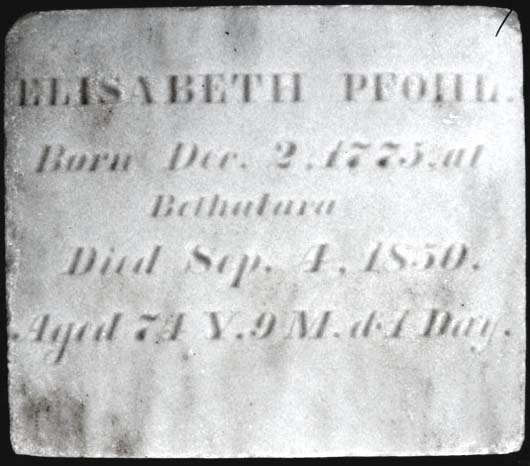 Elisabeth Pfohl