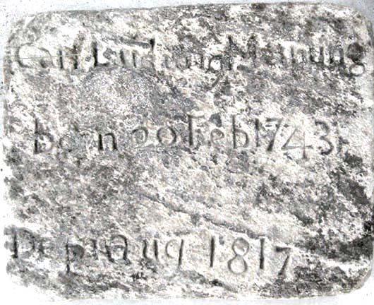 Carl Ludwig Meinung