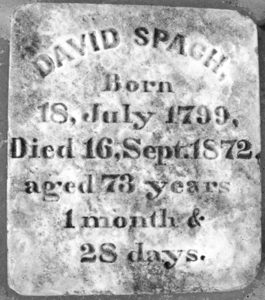 David Spach