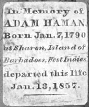 Adam  Haman