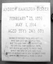 Andrew Hamilton Disher