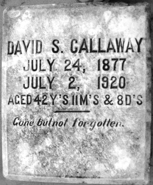 David S. Callaway