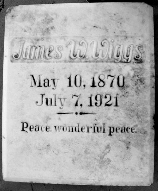 James William Wiggs