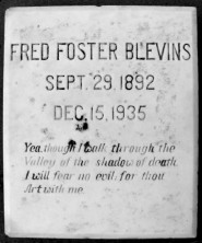 Fred Foster Blevins