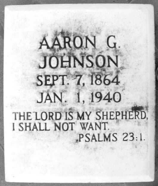Aaron Grant Johnson