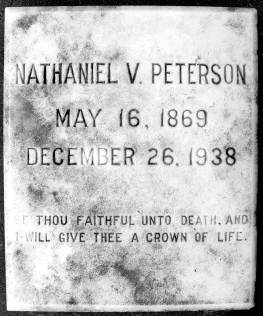 Nathaniel Vogler Peterson