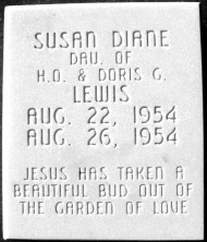 Susan Diane Lewis