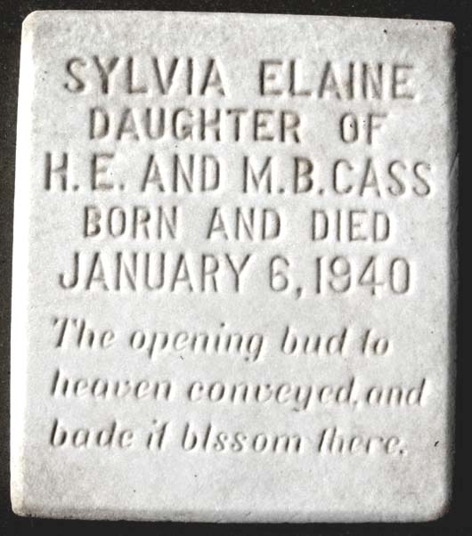 Sylvia Elaine Cass