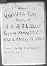 Virginia Ray Eller