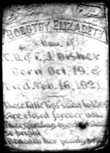 Dorothy Elizabeth Disher
