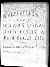 Charlotte Louise Priddy
