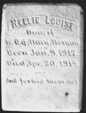 Nellie Louise Morgan