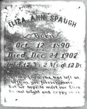 Eliza Ann Spaugh