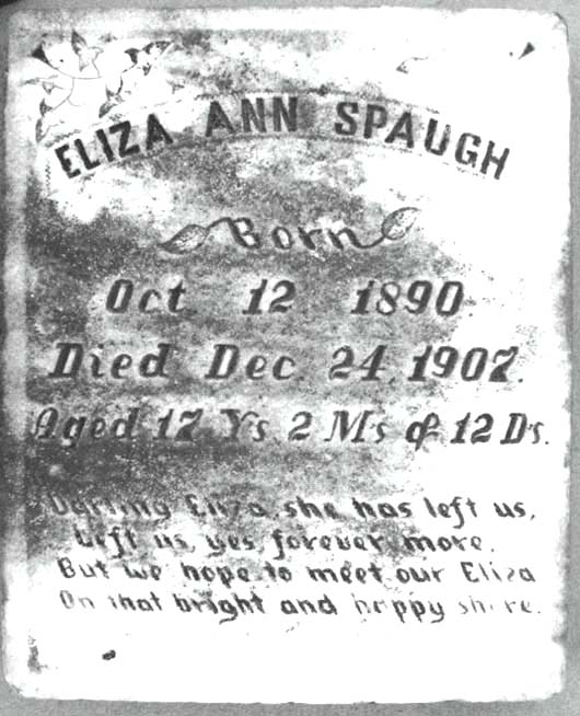 Eliza Ann Spaugh