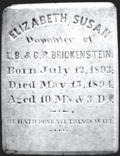Elizabeth Susan Brickenstein