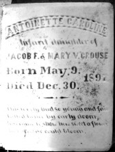Antoinette Caroline Crouse