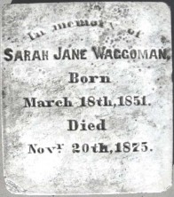Sarah Jane Waggoman