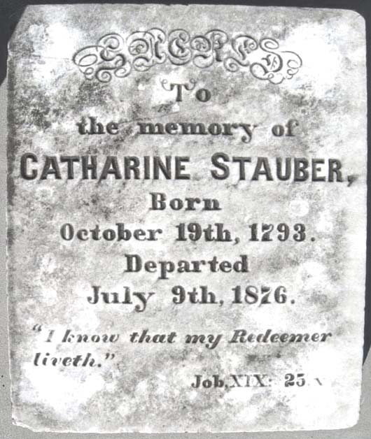 Catharine Stauber