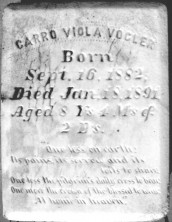 Carro Viola Vogler