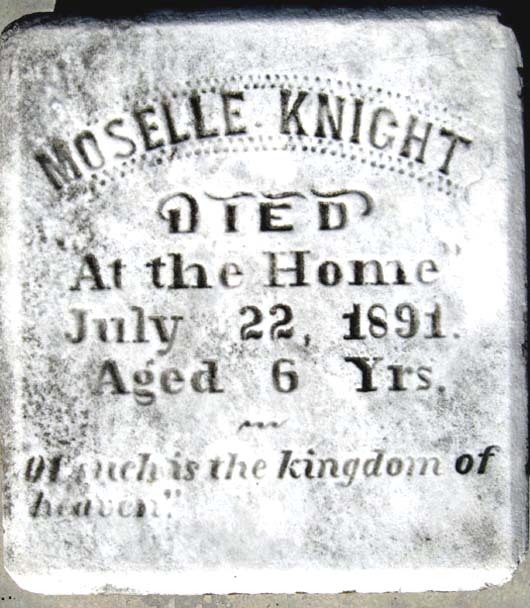 Moselle Knight