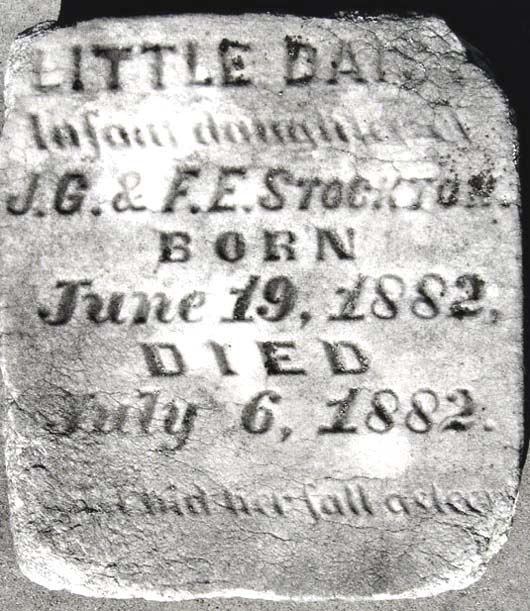 Daisy Stockton
