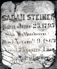 Sarah  Steiner