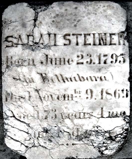 Sarah Steiner