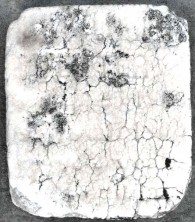 Mary Louisa Fetter