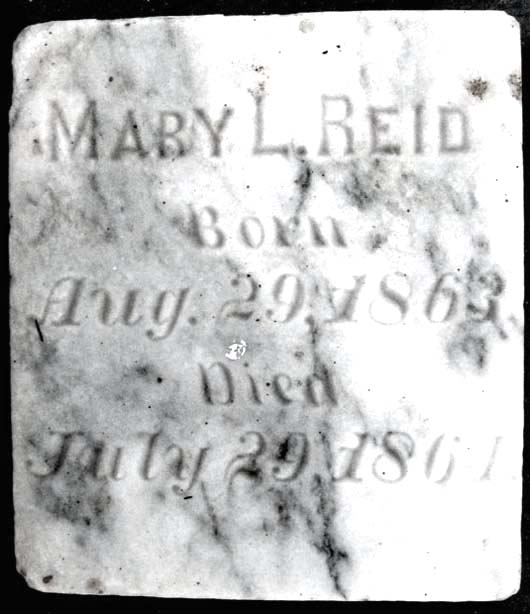 Mary Louisa Reid