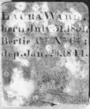 Laura  Ward