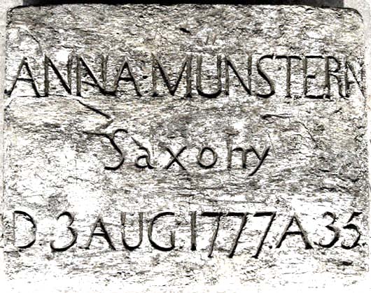 Anna Munster