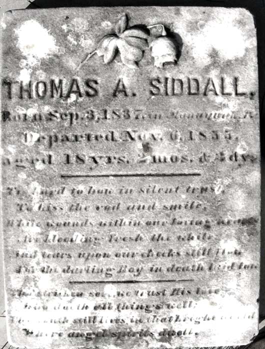 Thomas Andrew Siddall