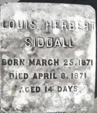 Louis Herbert Siddall