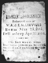 Duke Johnson Linville