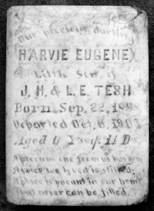 Harvie Eugene Tesh