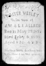 Walter Wesley Allred